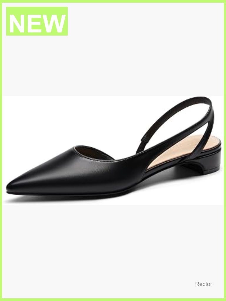Slingback Chunky Low Heels Closed Pointed Toe Pumps D'orsay Work Office Dress